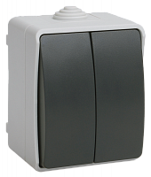IEK ВС20-2-0-ФСр Выключатель 2кл для открытой установки IP54