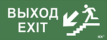 IEK Самоклеющая этик. "Выход/лест. вниз/фигура" ДПА IP20/54 IEK